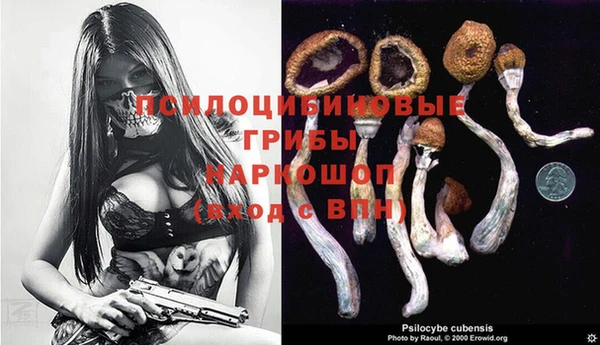 крисы Беломорск