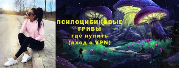 крисы Беломорск